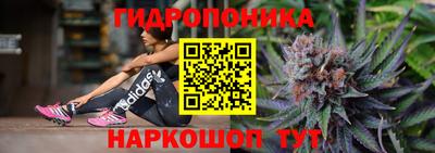 прущие грибы Рузаевка
